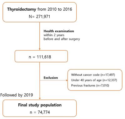 Physical activity and reduced risk of fracture in thyroid cancer patients after thyroidectomy — a nationwide cohort study